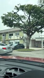Ang Mo Kio Avenue 8 (D20), Shop House #634491031